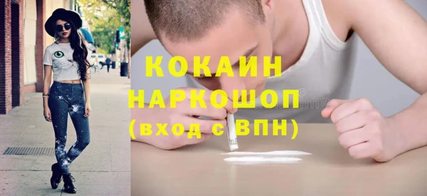 индика Долгопрудный
