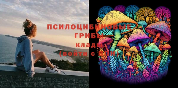 шишки Бердск