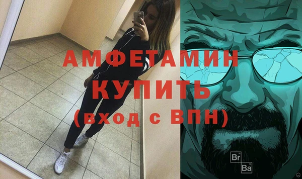 индика Долгопрудный