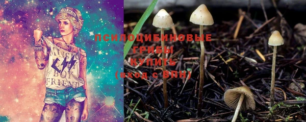 гидропоника Новый Уренгой