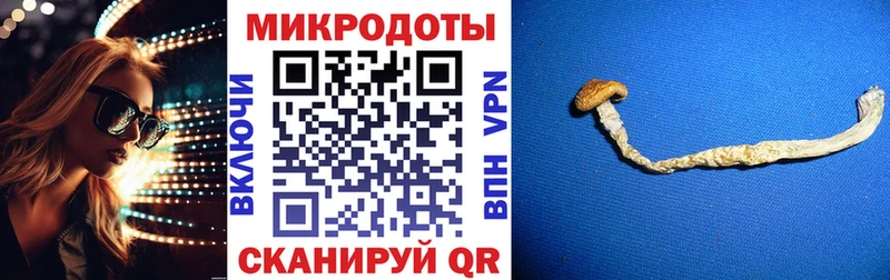 MEGA зеркало  где найти наркотики  Гусиноозёрск  Галлюциногенные грибы Psilocybe 